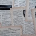 编辑坐在电脑前核对在线动漫页面的文字说明，屏幕光映在脸上，旁边放着一杯凉掉的茶，整体色调沉稳克制